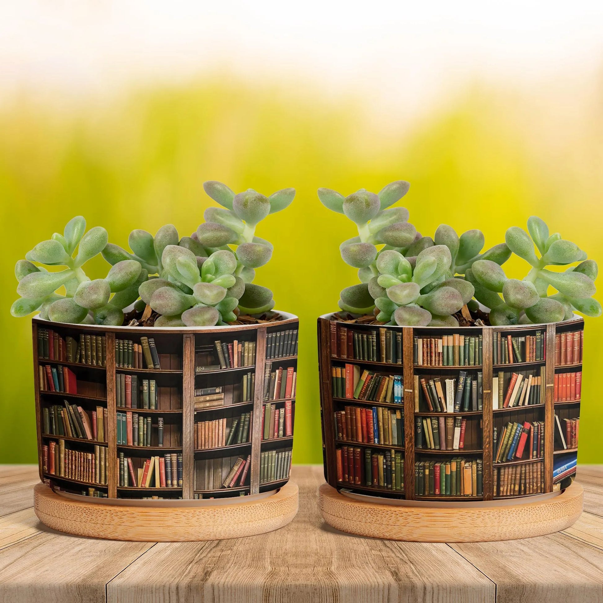 Plant Book Vintage Plant Pot, Ceramic Planter, Houseplant Pot