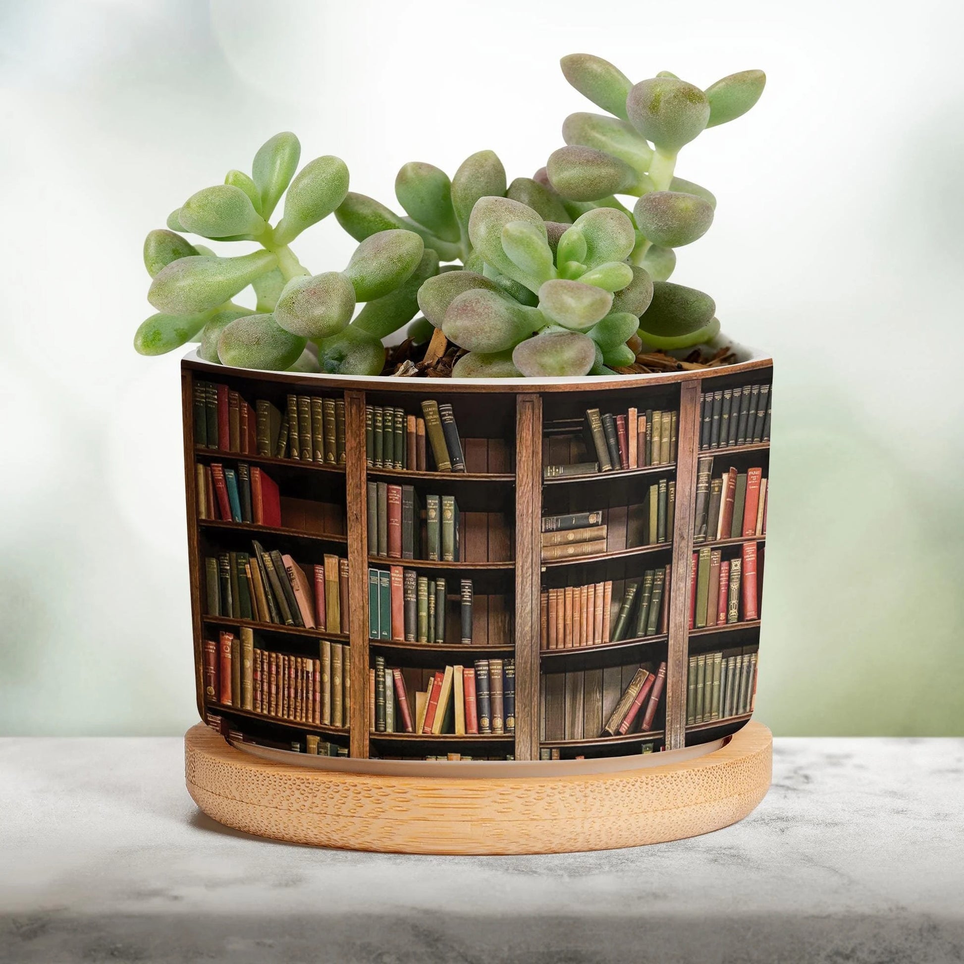 Plant Book Vintage Plant Pot, Ceramic Planter, Houseplant Pot