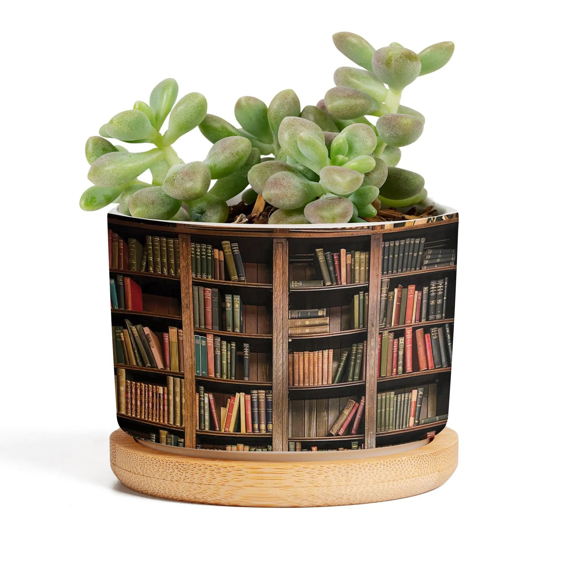 Plant Book Vintage Plant Pot, Ceramic Planter, Houseplant Pot